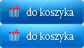Dodaj do koszyka Strategia sukcesu firmy